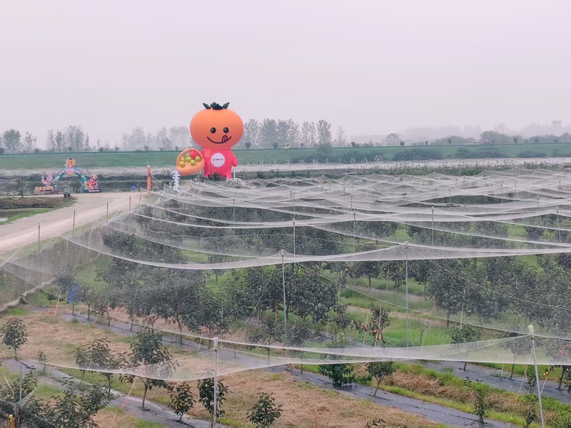 微信图片_20260409211028_55_400.jpg